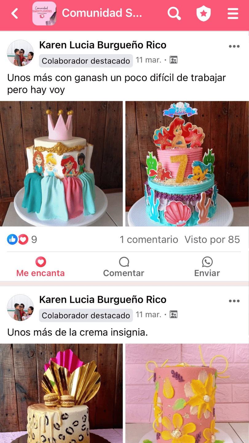 Captura real de la publicación de Karen Lucia Burgueño Rico mostrando sus pasteles trabajados con ganache